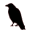 Crow Designer