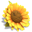 Youda Farmer 3: Seasons