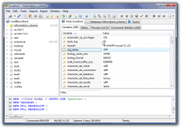 HeidiSQL Portable