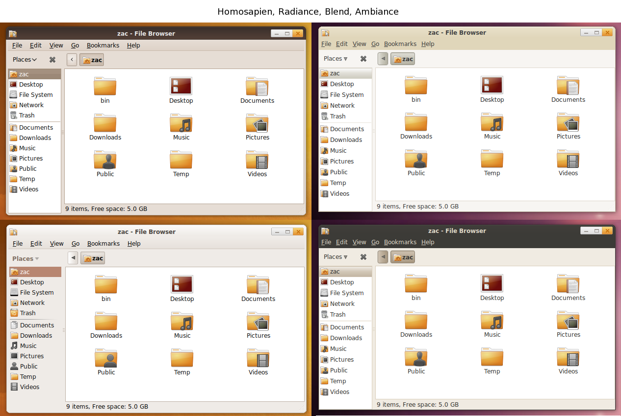 Homosapien Metacity Customizer