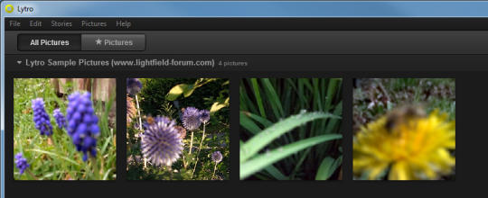 Lytro for Windows