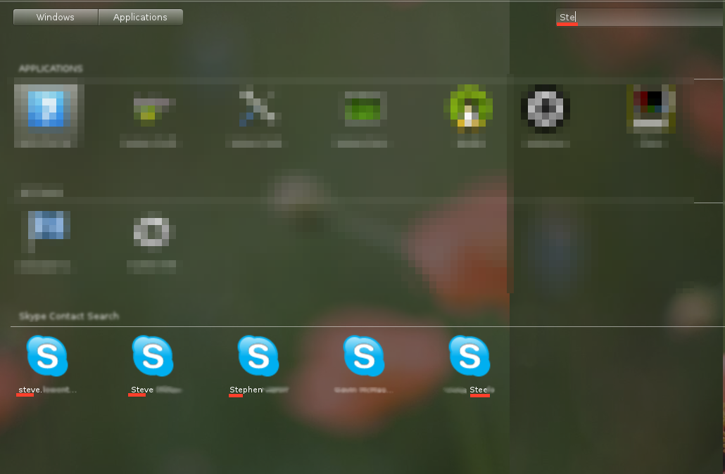 Skype Contact Search