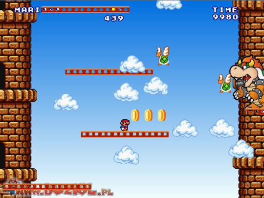 Super Mario Castle 2